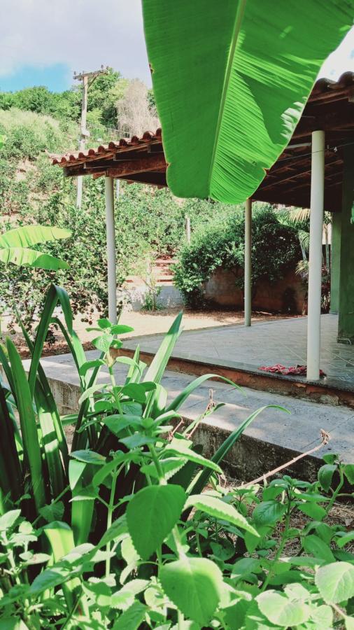 Chácara à venda com 3 quartos, 1000m² - Foto 17