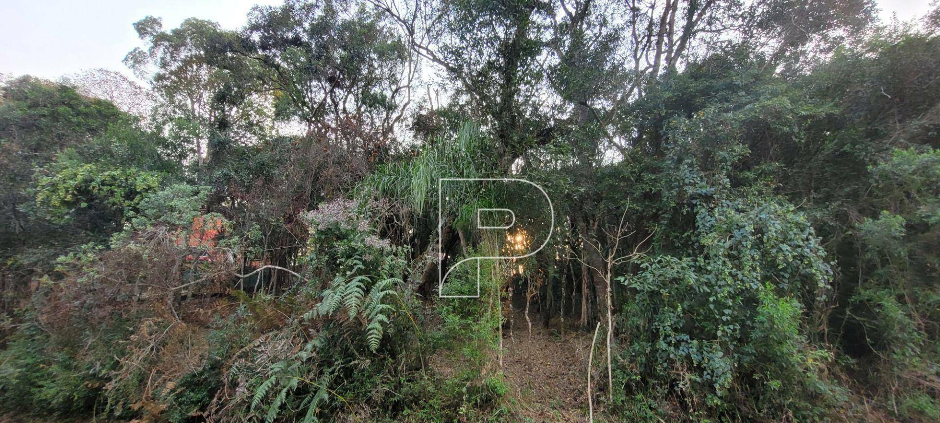 Loteamento e Condomínio à venda, 1500M2 - Foto 2