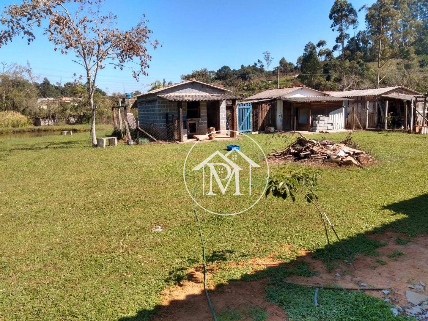 Chácara à venda com 3 quartos, 11000M2 - Foto 2