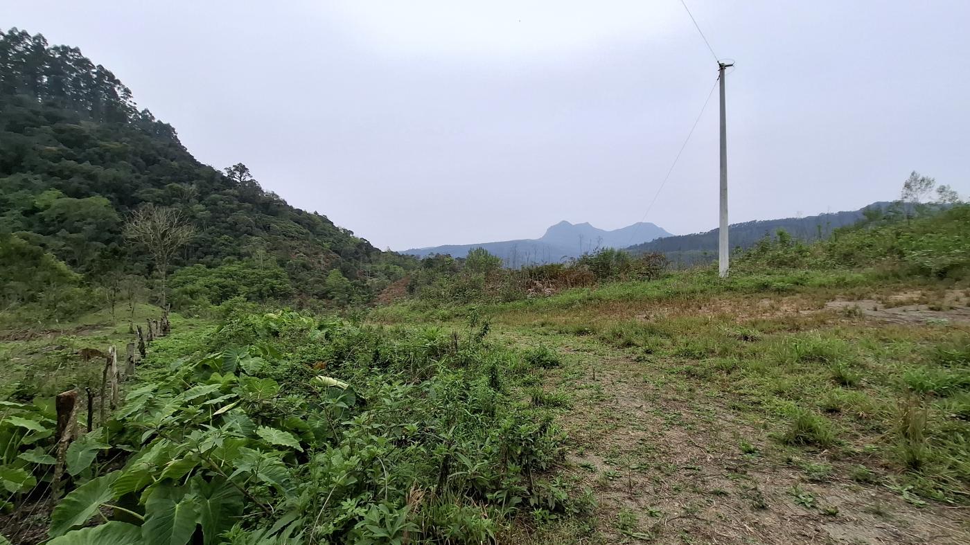 Fazenda à venda, 40000m² - Foto 11