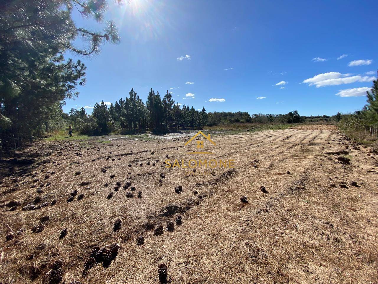 Terreno, 2 hectares - Foto 2