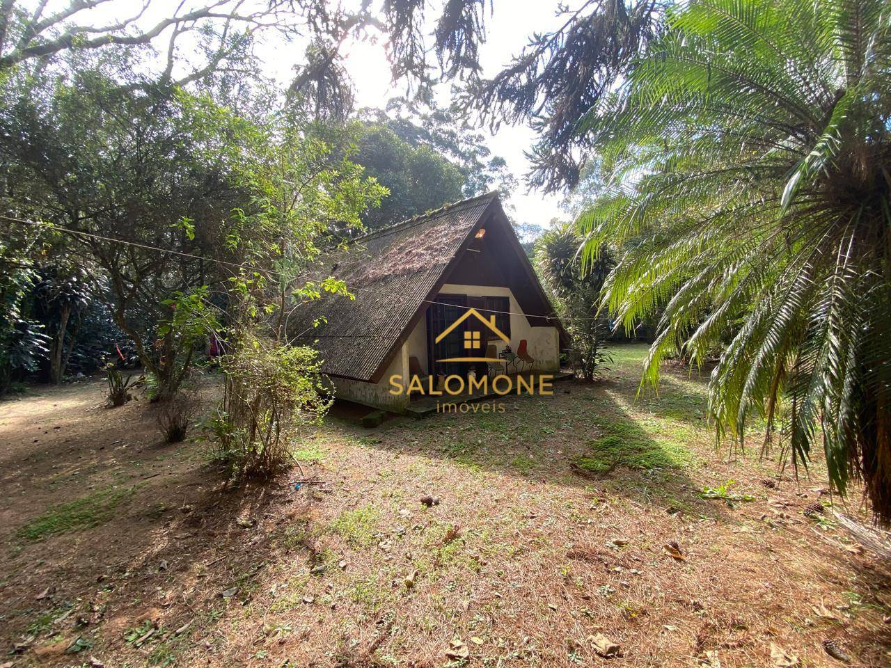 Sítio, 1 quarto, 10000 m² - Foto 4