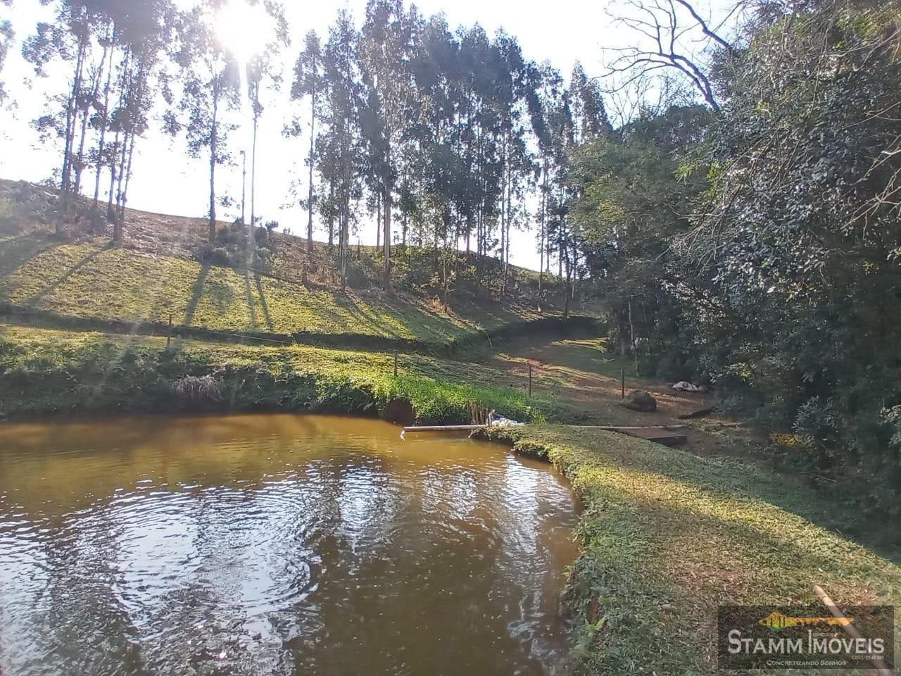 Fazenda à venda com 4 quartos, 3m² - Foto 39