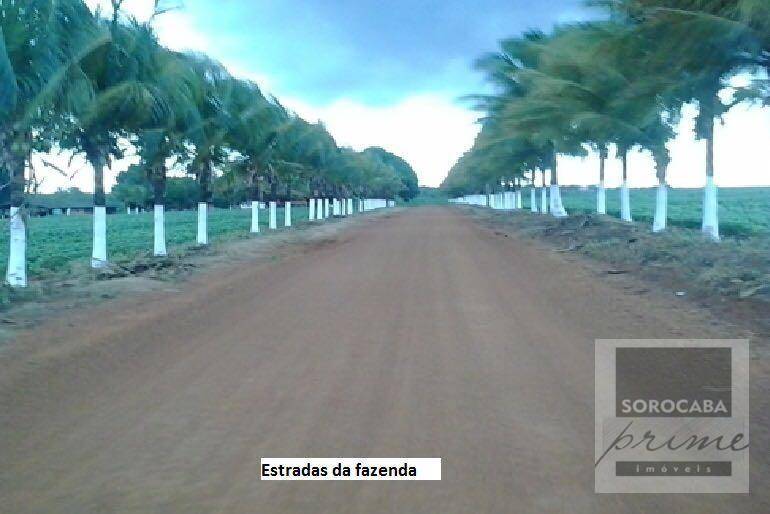 Fazenda, 33000 hectares - Foto 2