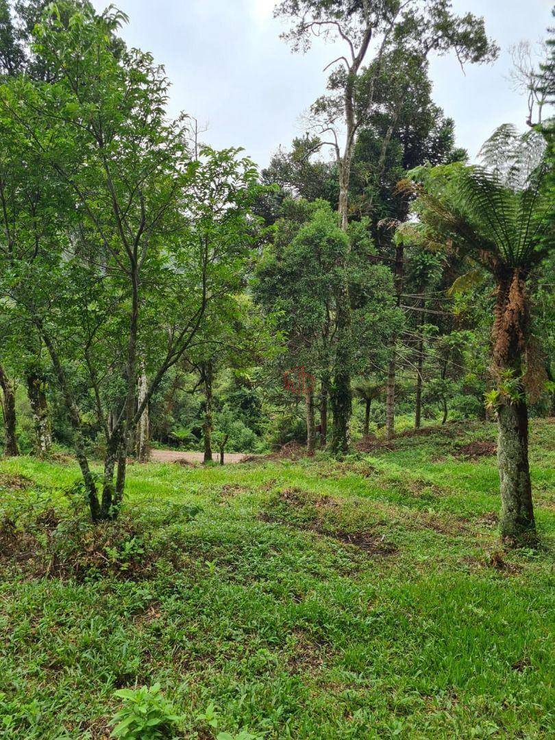 Terreno à venda, 3400M2 - Foto 1