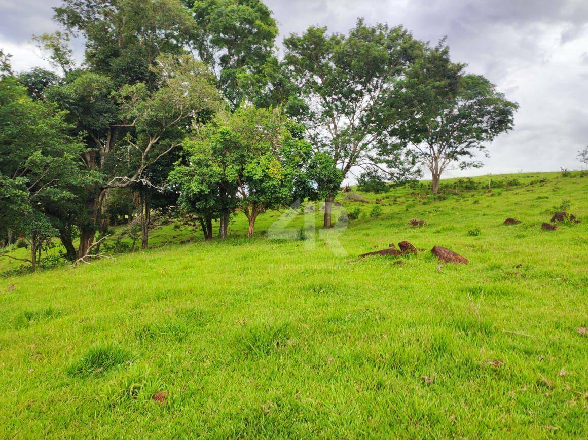 Terreno à venda, 242000M2 - Foto 6