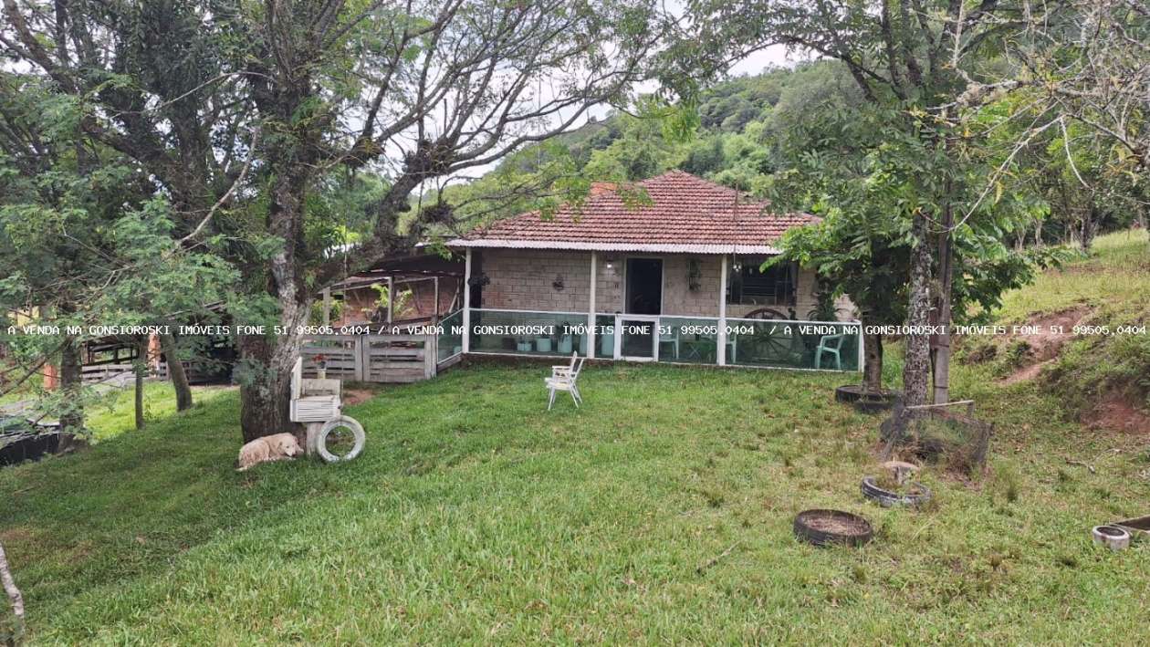 Sítio, 20 m² - Foto 2