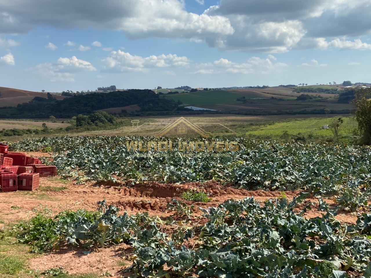 Fazenda-Sítio-Chácara, 70 m² - Foto 7