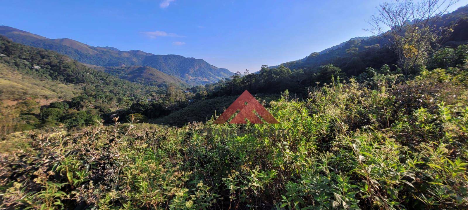 Terreno à venda, 312978M2 - Foto 8