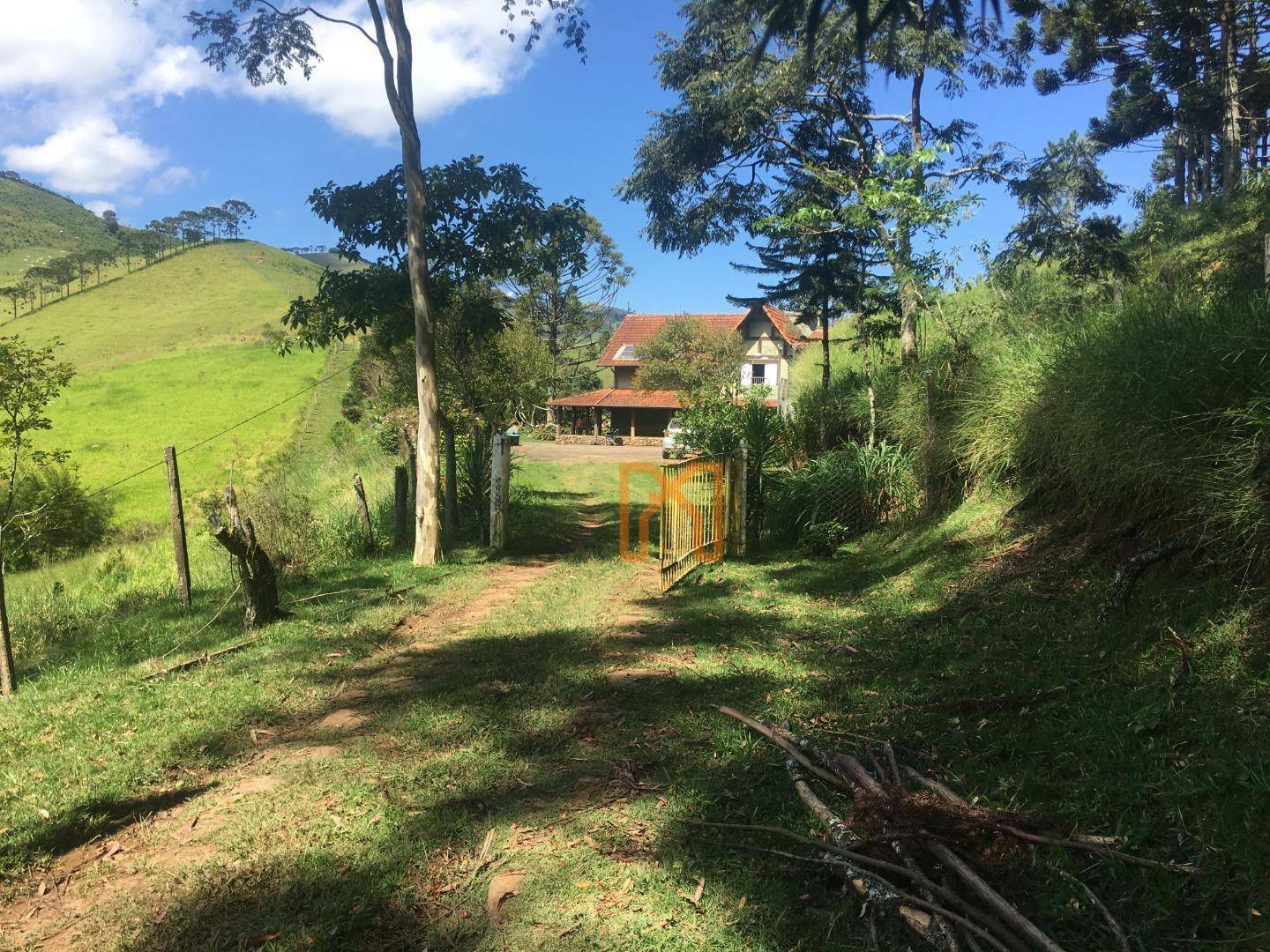 Fazenda à venda com 4 quartos, 3030000M2 - Foto 20