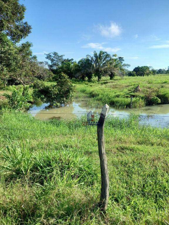 Chácara à venda com 1 quarto, 217800M2 - Foto 7