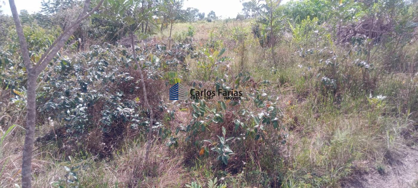 Chácara à venda, 20000m² - Foto 16