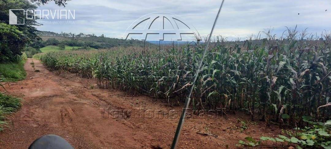 Fazenda à venda, 291M2 - Foto 10