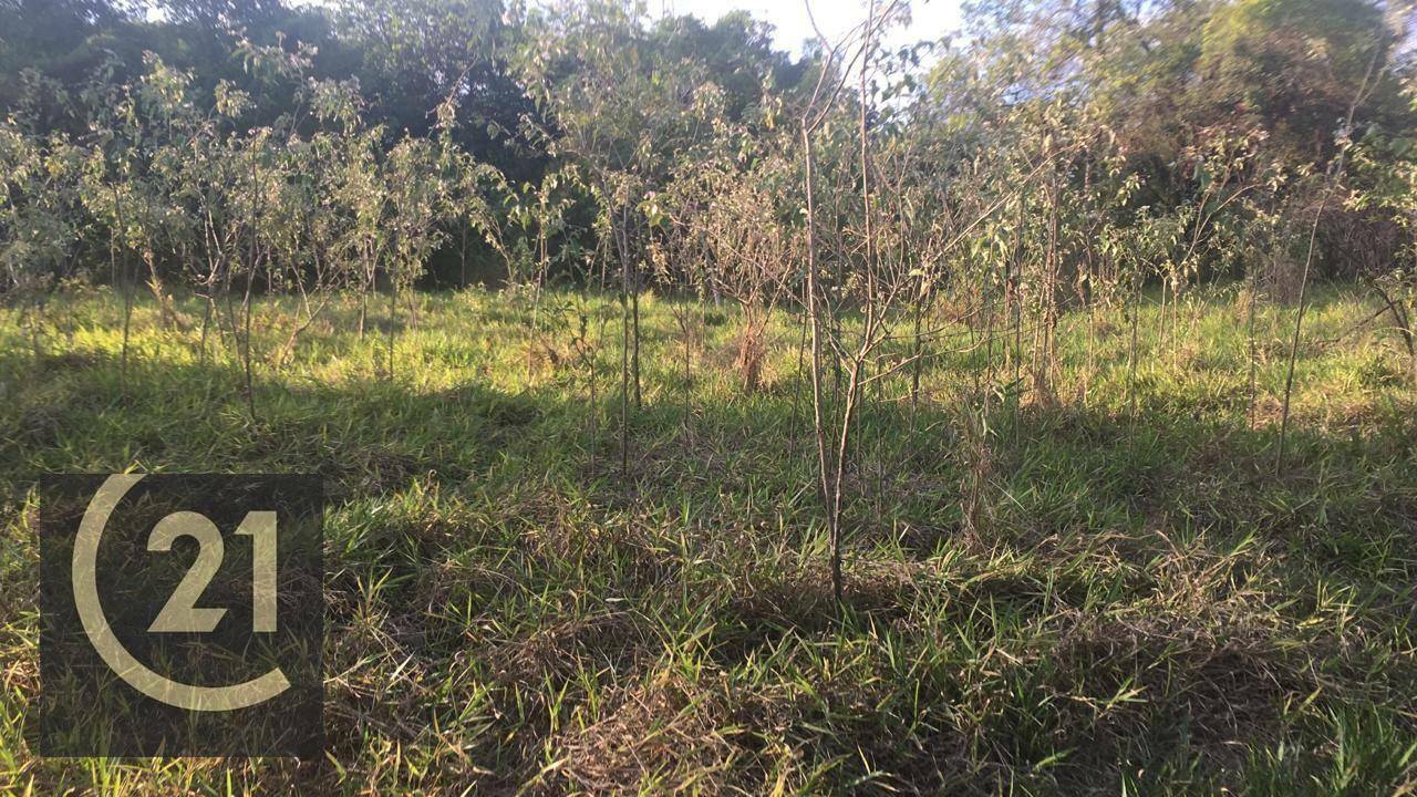 Fazenda à venda, 1370000M2 - Foto 3