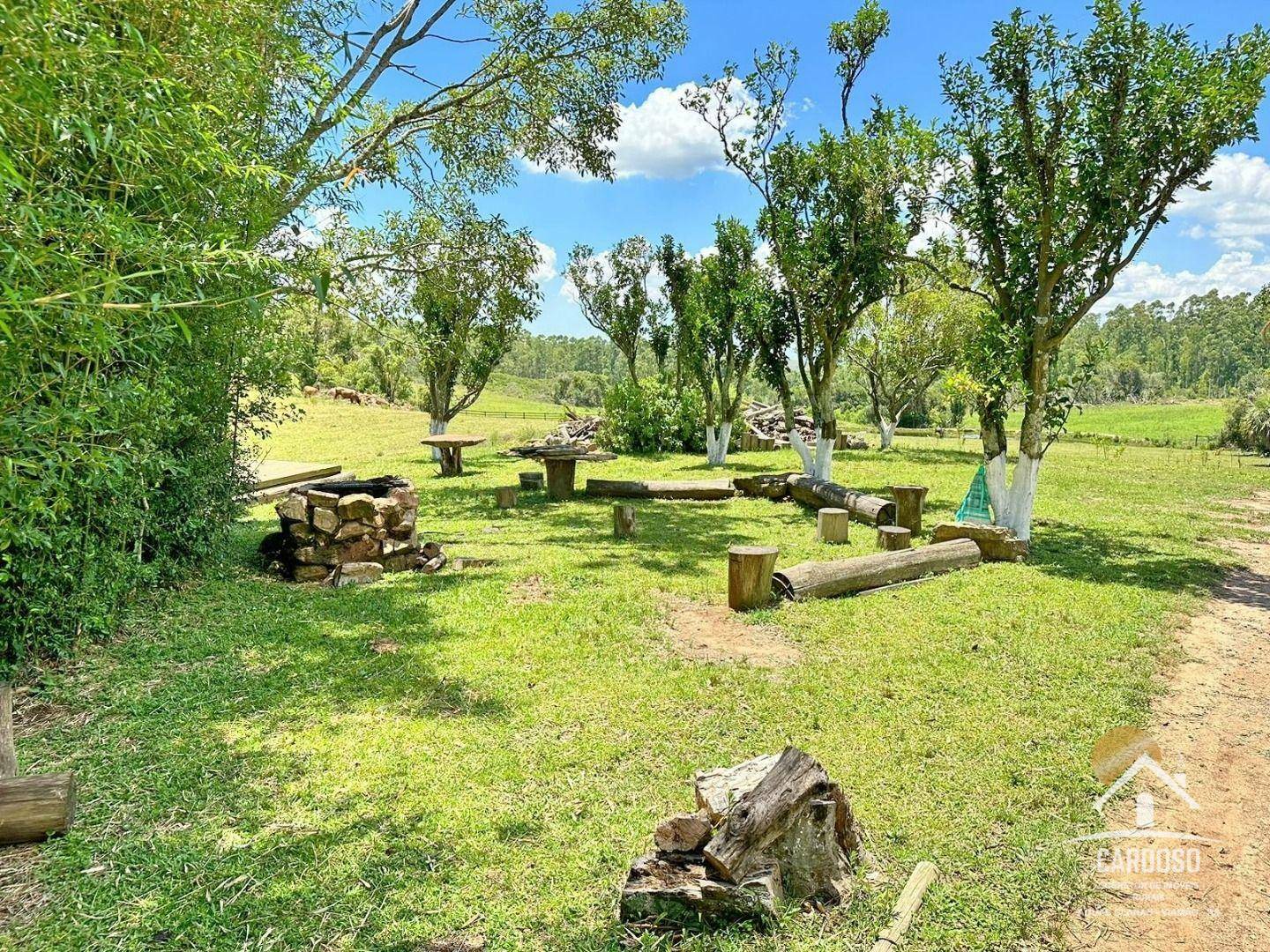 Fazenda à venda com 3 quartos, 1065000M2 - Foto 14