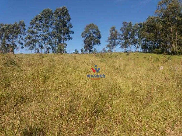 Fazenda à venda com 3 quartos, 1116000M2 - Foto 6