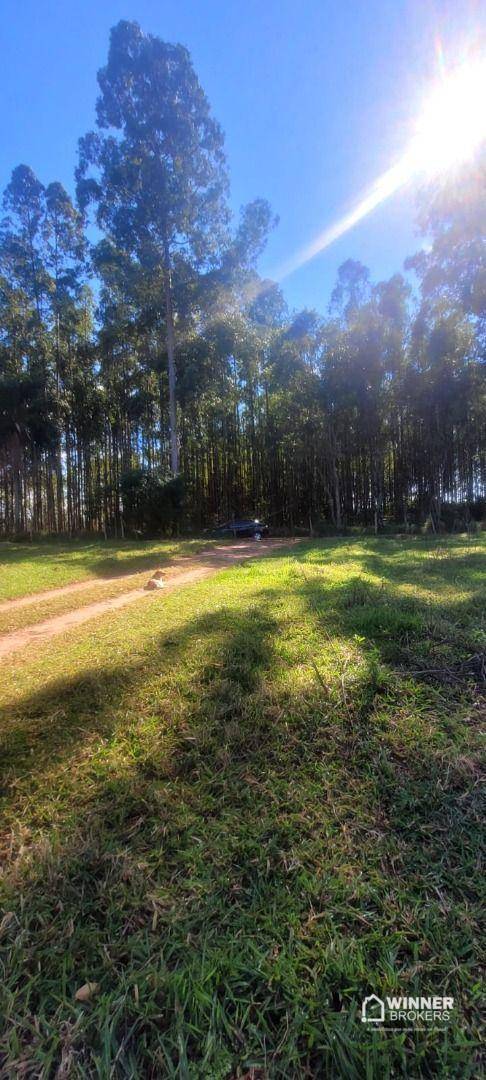 Chácara, 2 quartos, 10000 m² - Foto 1