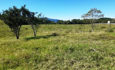 Fazenda à venda com 2 quartos, 210000m² - Foto 19