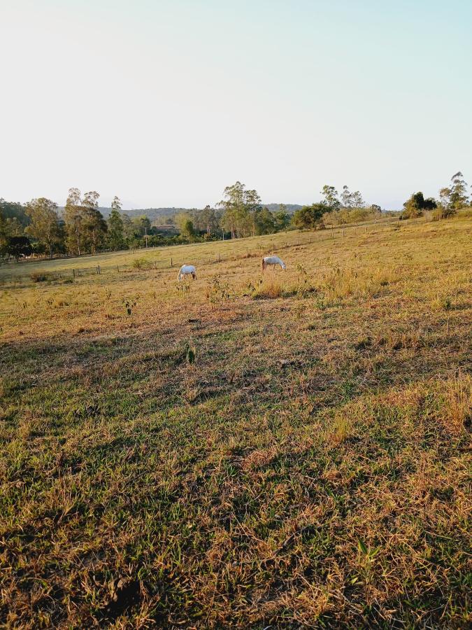 Fazenda à venda com 2 quartos, 146000m² - Foto 17