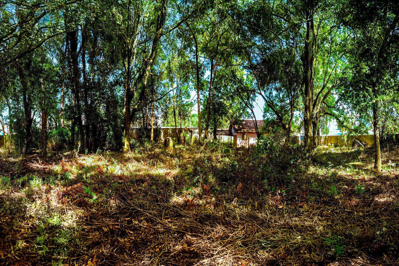 Terreno à venda, 2189M2 - Foto 11
