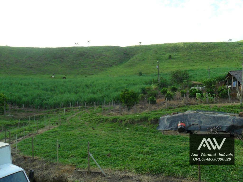 Chácara à venda com 5 quartos, 170000M2 - Foto 9