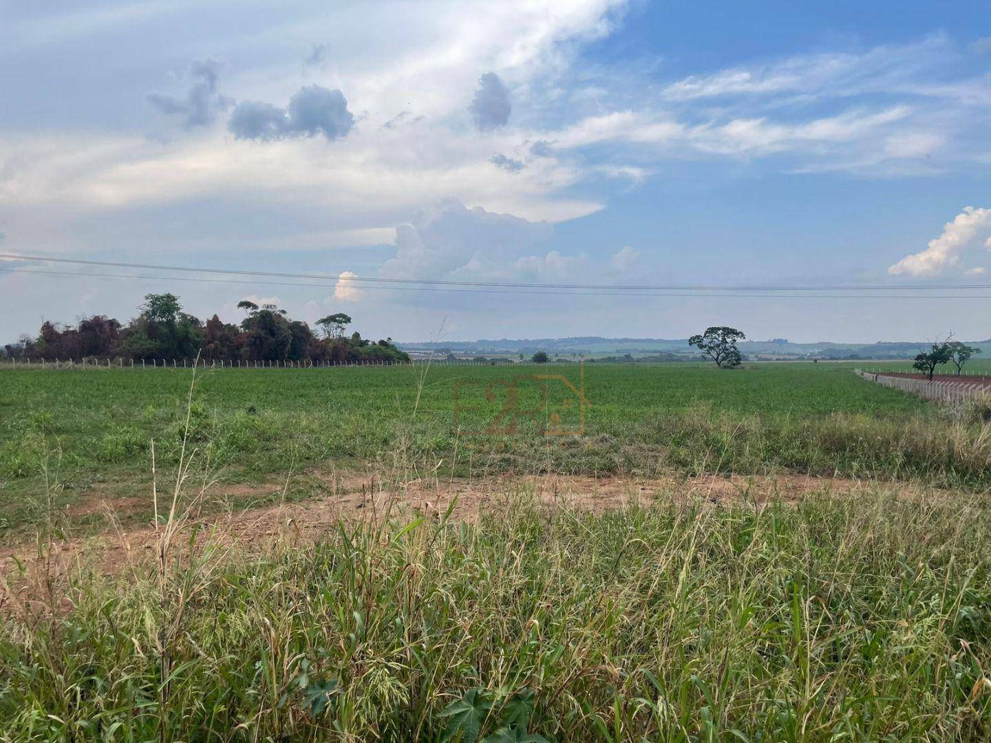 Terreno à venda, 48400M2 - Foto 1