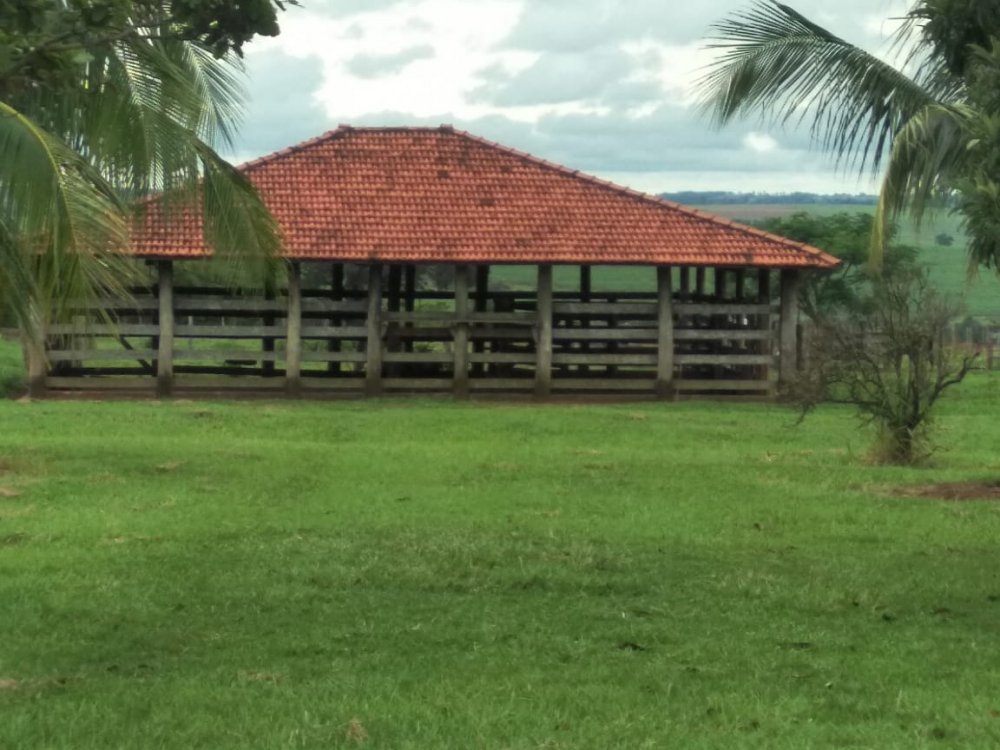 Fazenda-Sítio-Chácara, 697 hectares - Foto 4