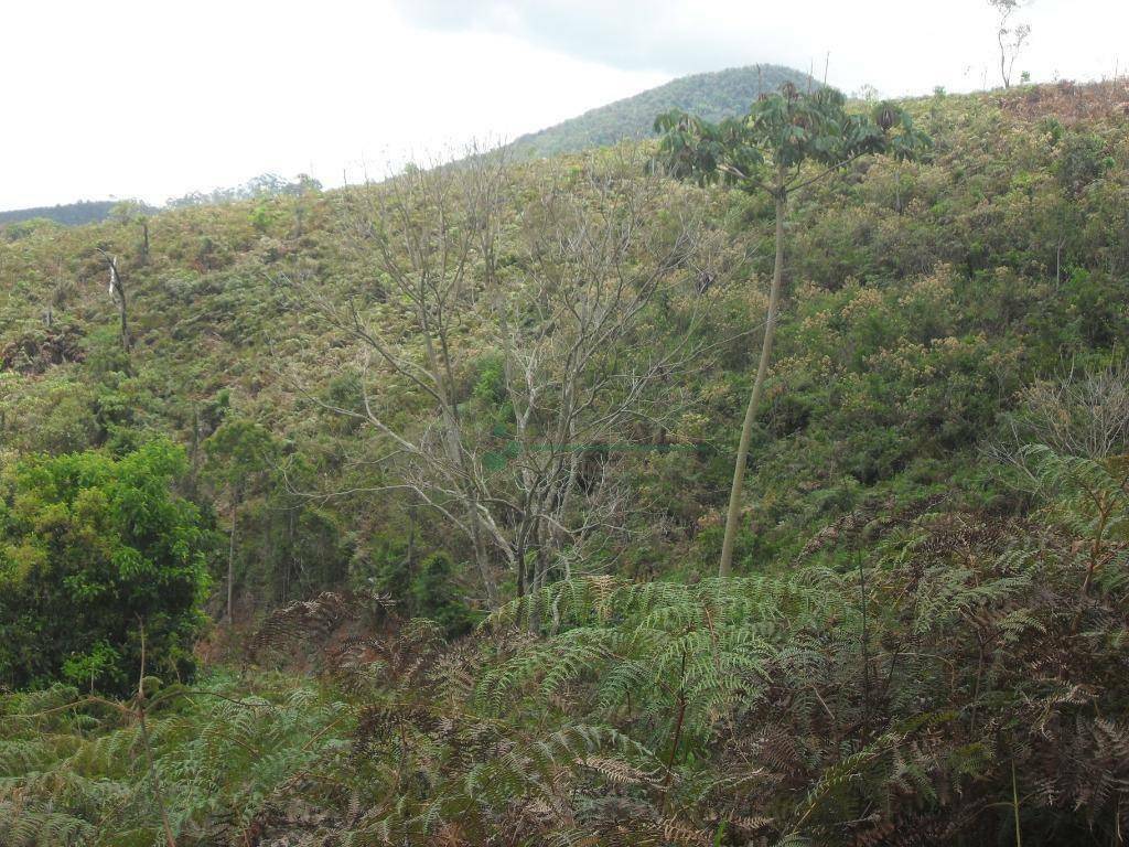 Loteamento e Condomínio à venda, 1024M2 - Foto 9