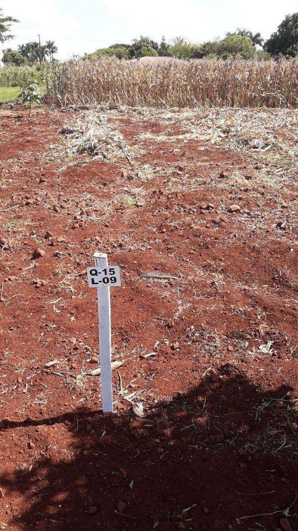 Chácara, 2044 m² - Foto 8