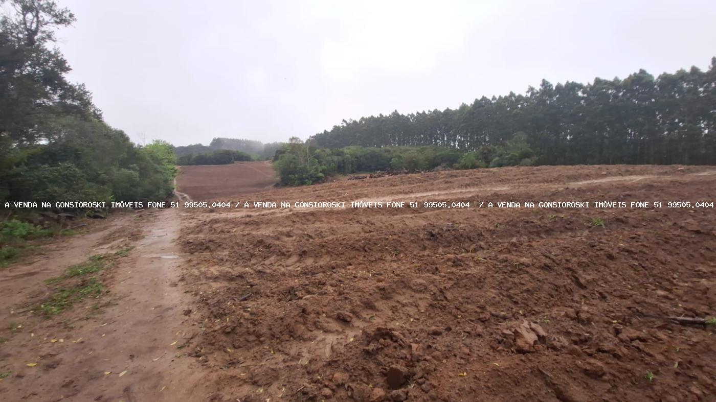 Sítio à venda com 2 quartos, 141000m² - Foto 17