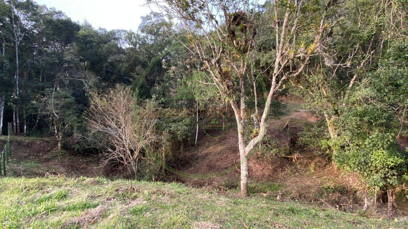 Sítio, 60 m² - Foto 31