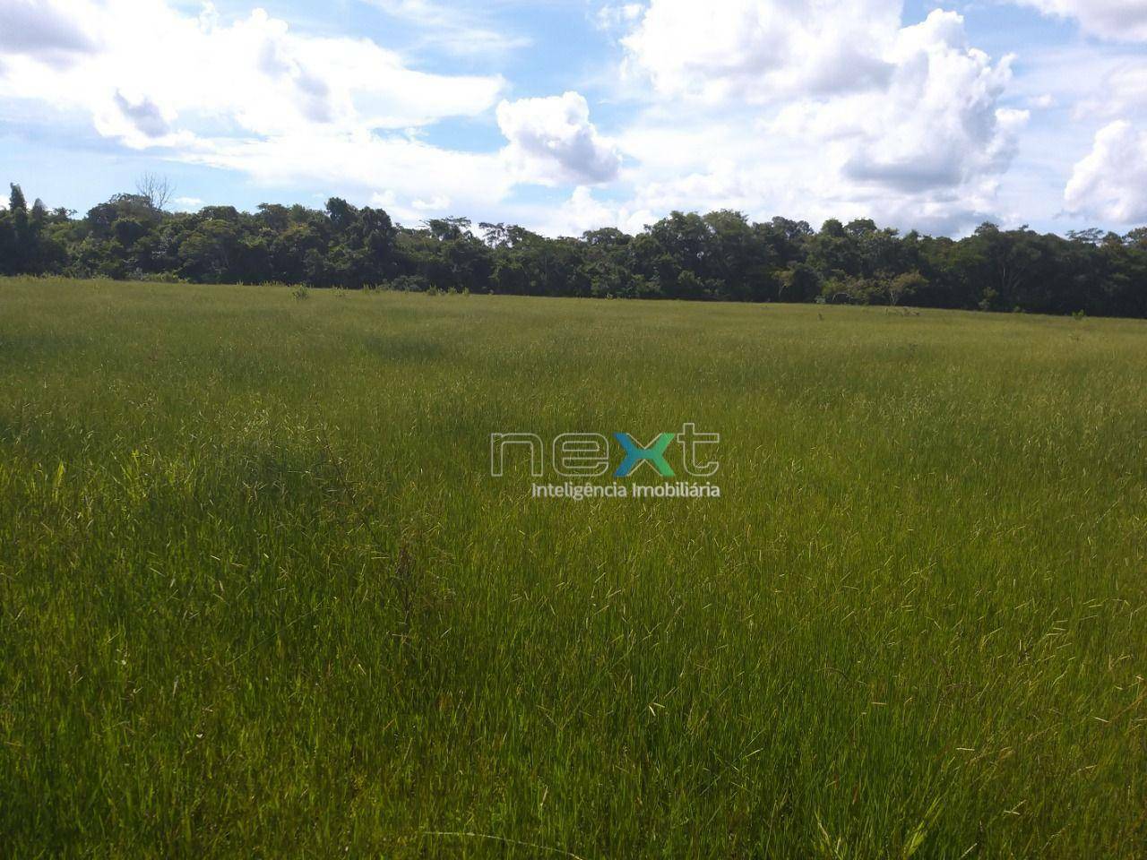 Fazenda à venda com 4 quartos, 430000M2 - Foto 29