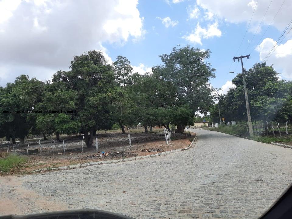 Fazenda à venda com 2 quartos, 14m² - Foto 7