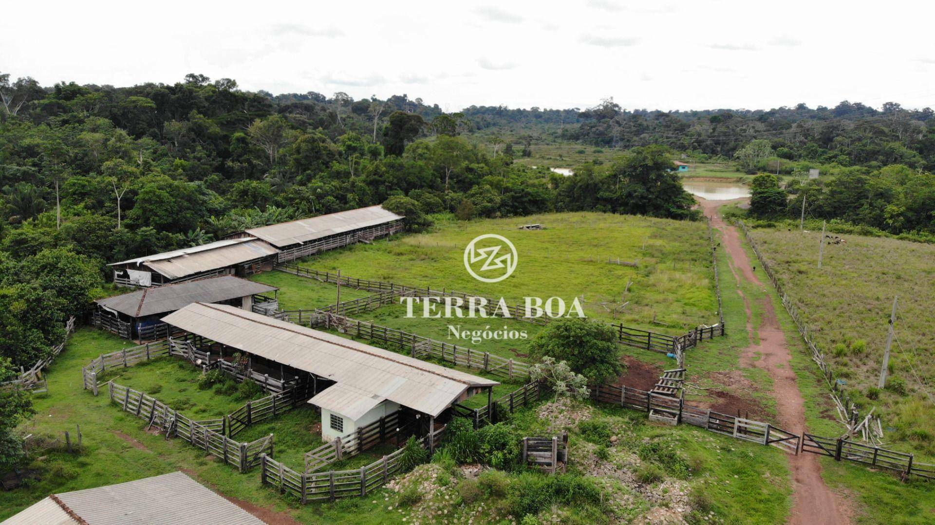 Fazenda-Sítio-Chácara, 300 hectares - Foto 2