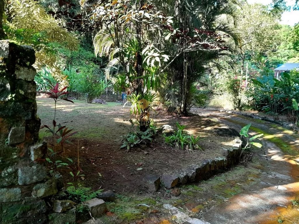 Casa à venda com 4 quartos, 3597m² - Foto 37