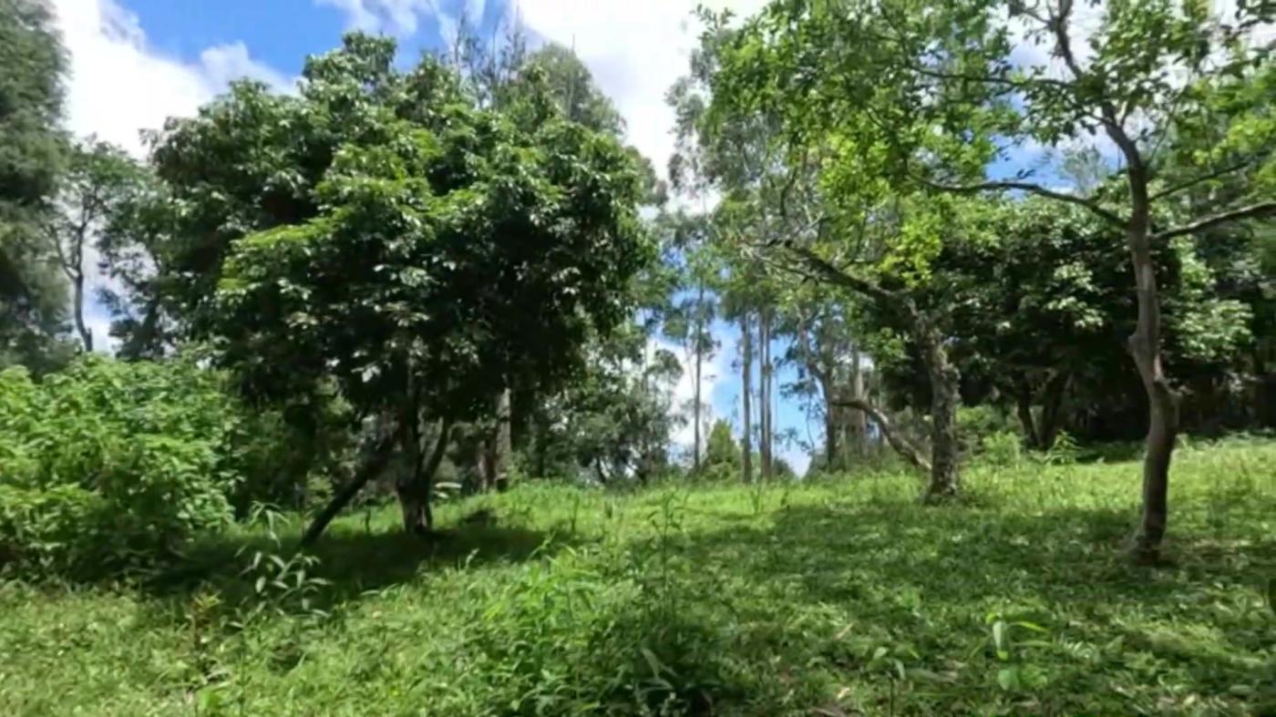 Sítio à venda com 8 quartos, 20000m² - Foto 45