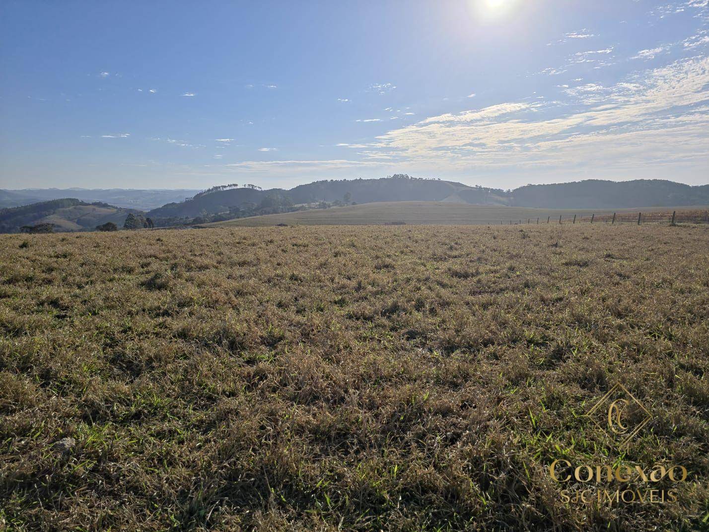 Fazenda, 171 hectares - Foto 2