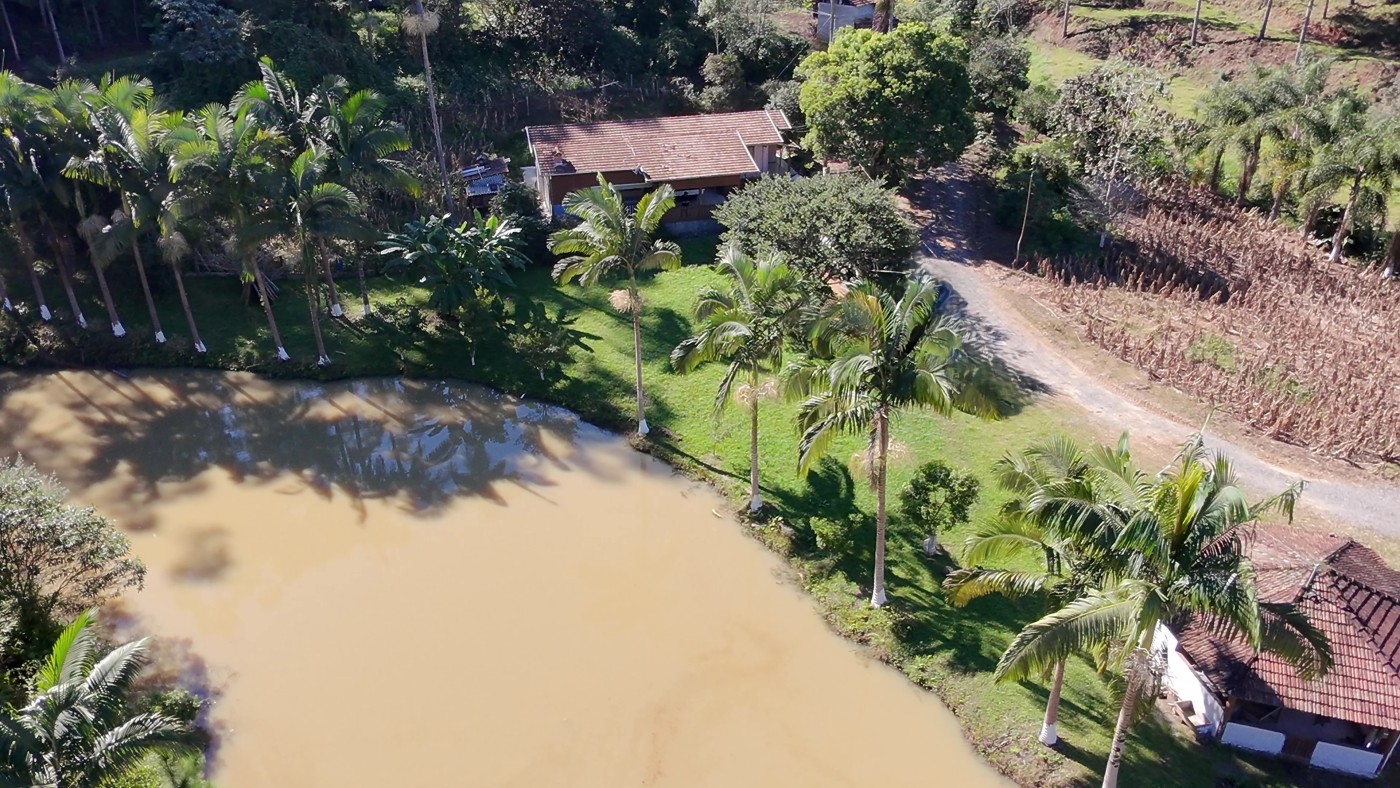 Sítio à venda com 3 quartos, 40000m² - Foto 41