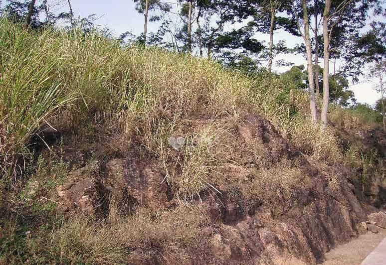 Terreno à venda, 5381M2 - Foto 1