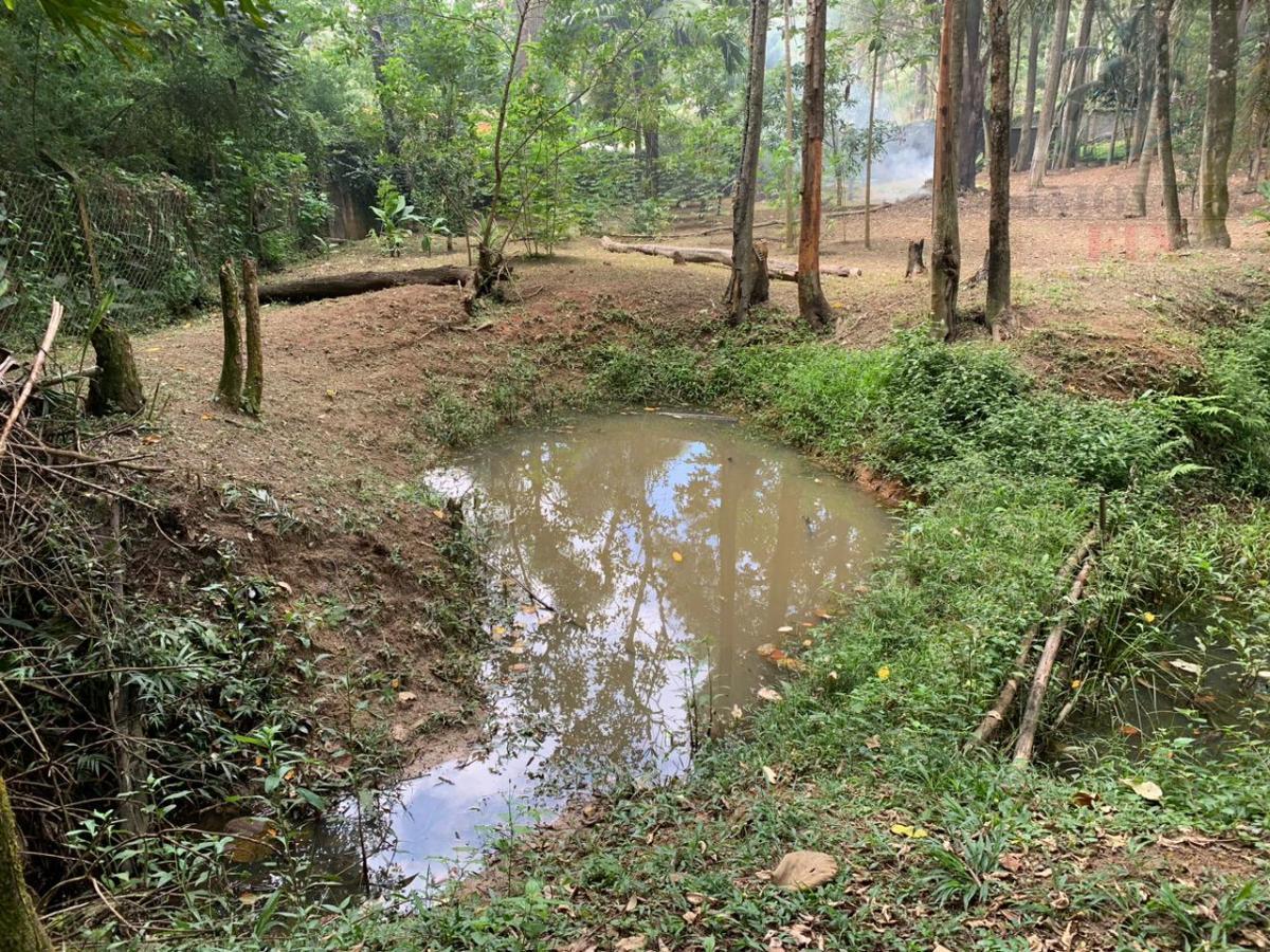 Fazenda à venda com 3 quartos, 320m² - Foto 43