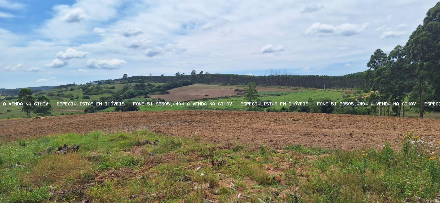 Fazenda à venda com 3 quartos, 2m² - Foto 21