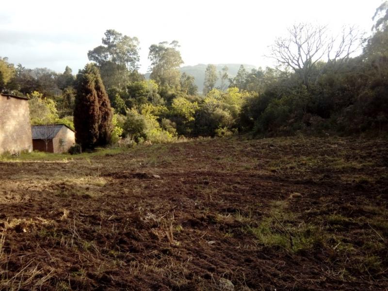 Sítio à venda com 1 quarto, 30000m² - Foto 4