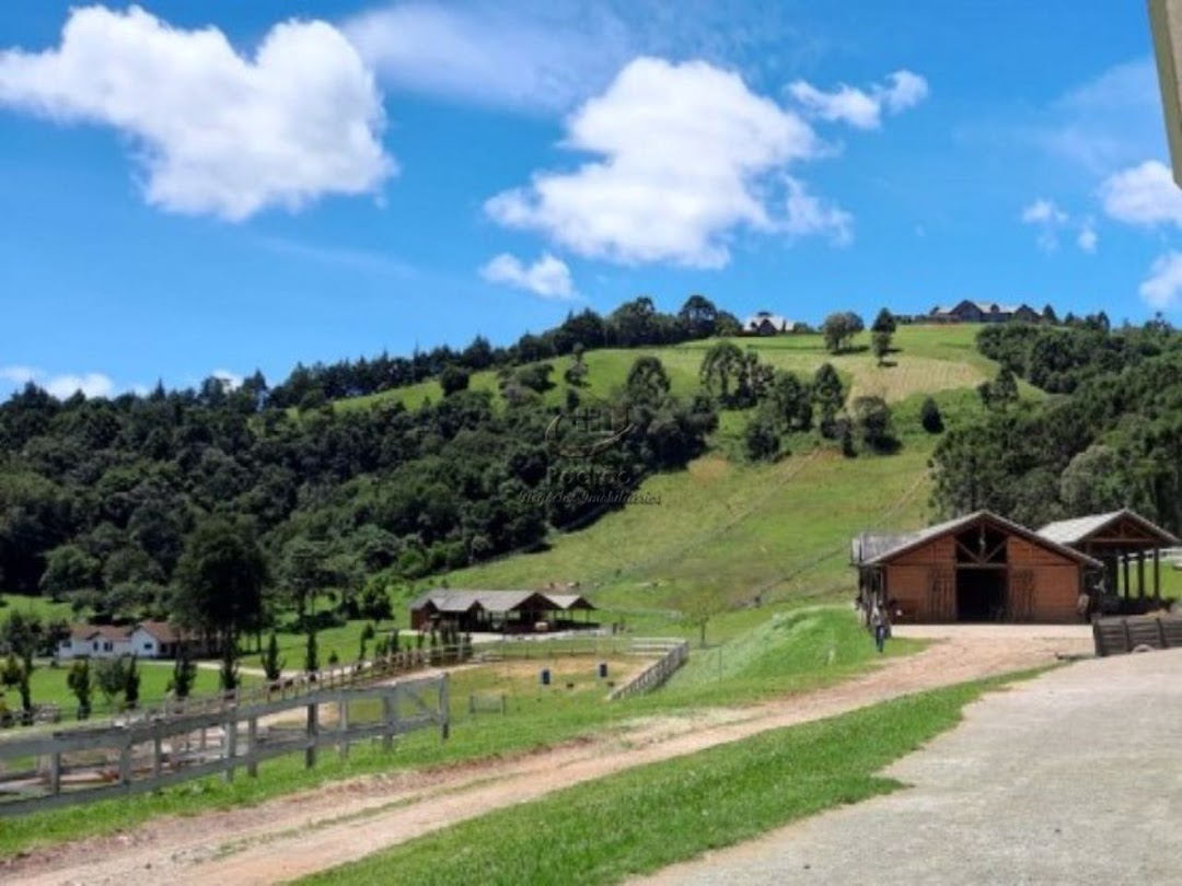 Fazenda à venda com 6 quartos, 1000m² - Foto 16