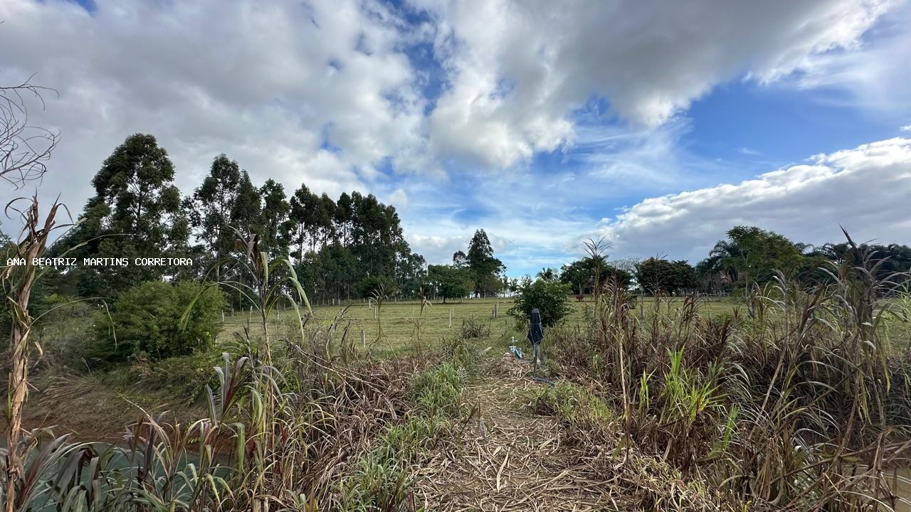 Sítio à venda com 2 quartos, 30000m² - Foto 33