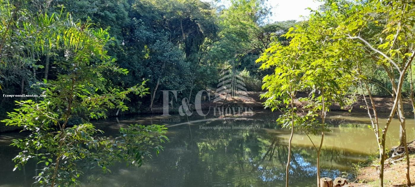 Fazenda à venda com 3 quartos, 24000m² - Foto 7