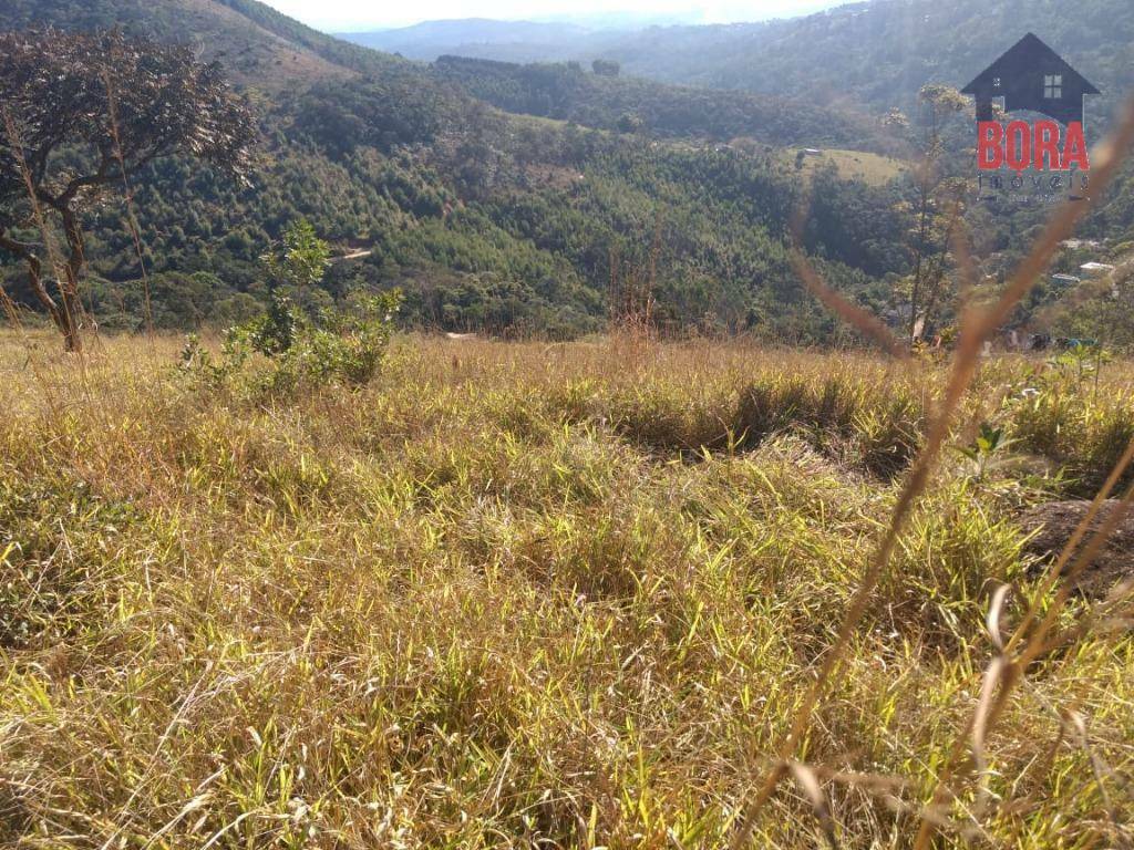 Terreno à venda, 2000M2 - Foto 14