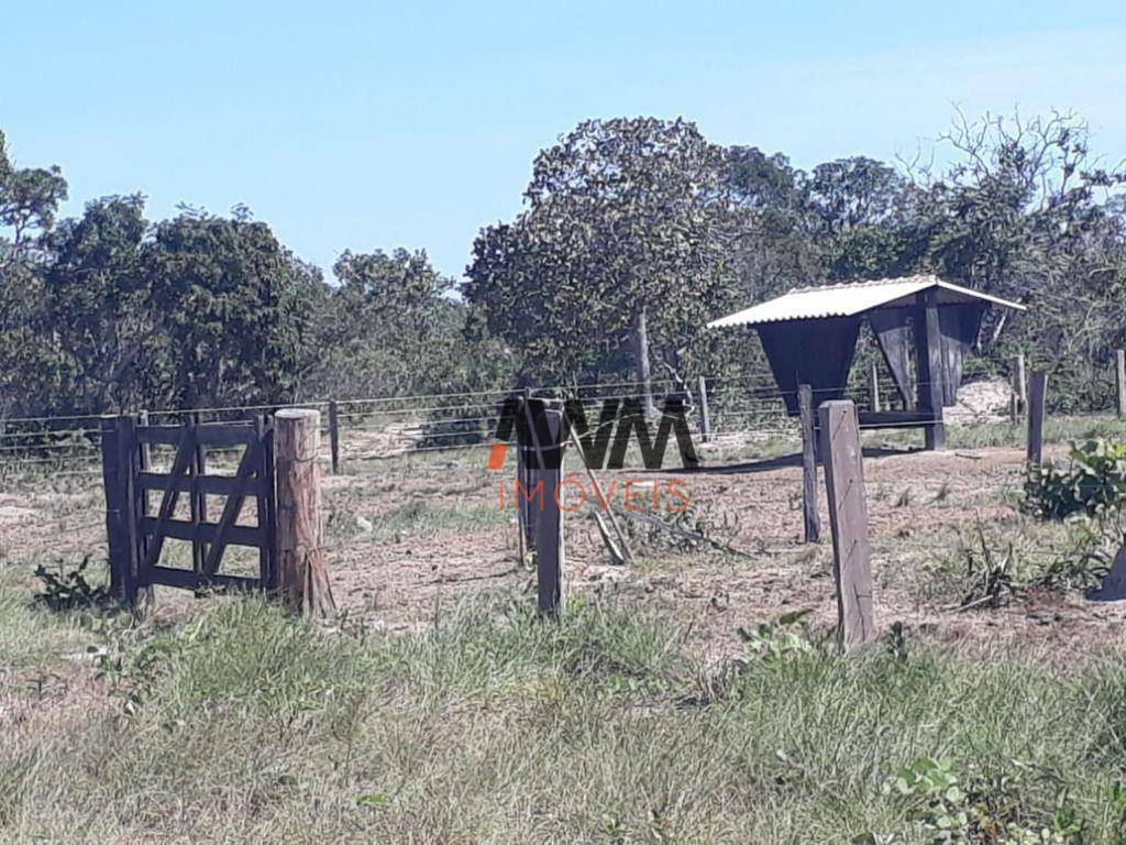 Fazenda à venda, 31060000M2 - Foto 17