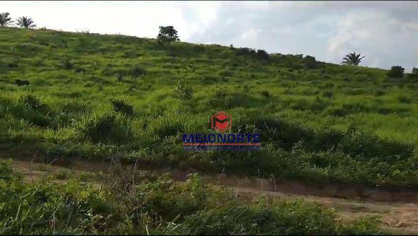 Fazenda à venda com 1 quarto, 10000M2 - Foto 13