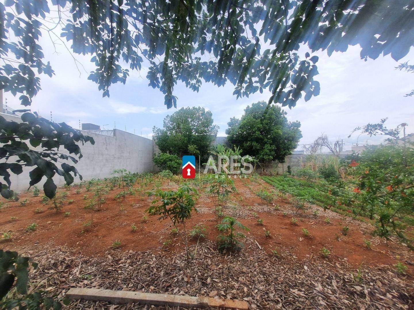 Terreno, 250 m² - Foto 1