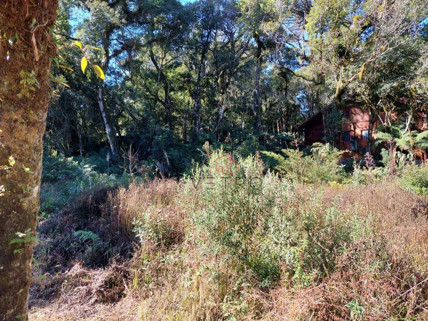 Loteamento e Condomínio à venda, 720M2 - Foto 5